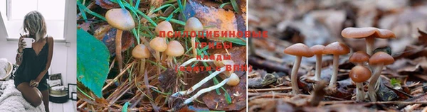 кокаин перу Абаза