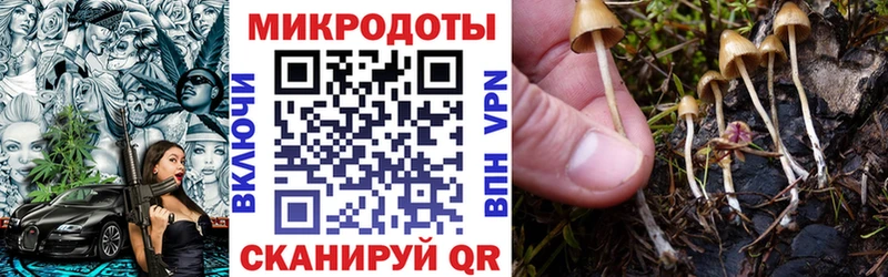 Галлюциногенные грибы MAGIC MUSHROOMS  Шали 