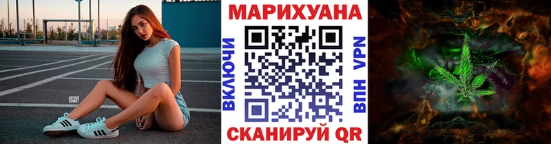 Канабис гибрид  Шали 