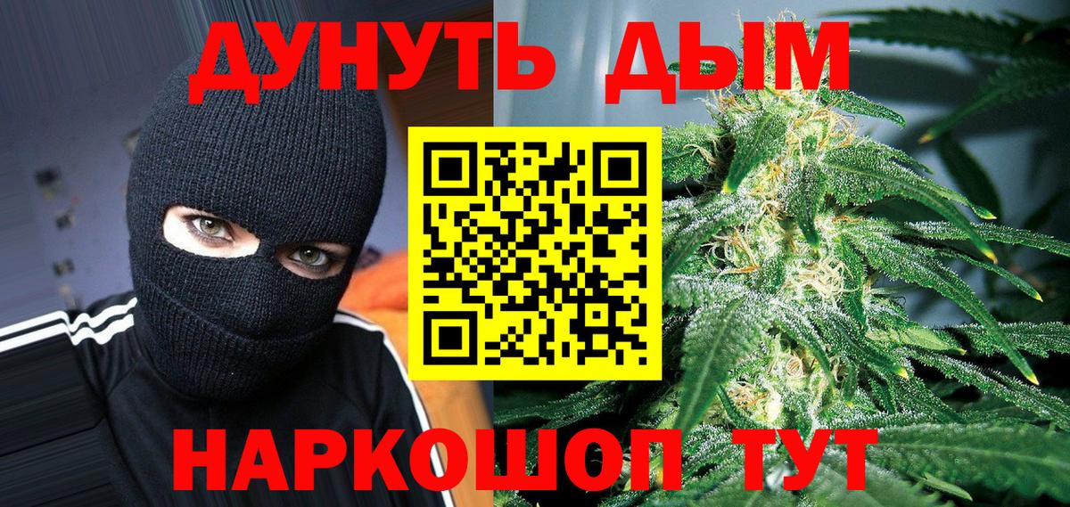 Каннабис гибрид Шали